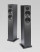 Audio Pro Addon T20